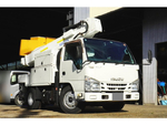 Elf Cherry Picker