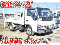 ISUZU Elf Dump PB-NKR81AD 2007 55,260km_1