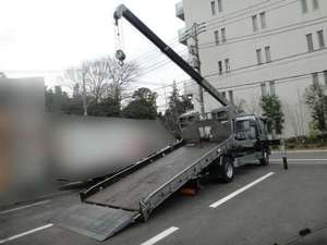 Ranger Safety Loader (With 3 Steps Of Cranes)_2