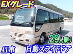 Coaster Micro Bus