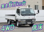 Canter Guts Flat Body