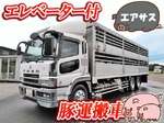 Super Great Cattle Transport Truck