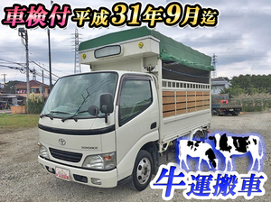Toyoace Cattle Transport Truck_1