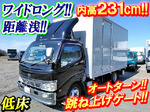 Dutro Panel Van