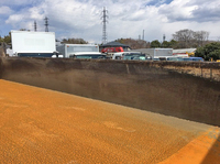 ISUZU Giga Dump QKG-CXZ77AT 2014 149,449km_16