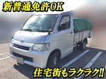 Liteace Flat Body