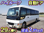 Rosa Micro Bus