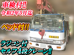 Ranger Self Loader (With 4 Steps Of Cranes)