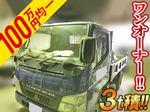 Canter Dump