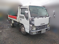 ISUZU Elf Dump BKG-NJR85AN 2007 146,406km_3