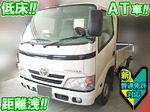 Toyoace Flat Body