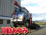 Great Self Loader (With 3 Steps Of Cranes)