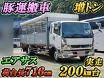 Fighter Cattle Transport Truck