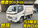 Toyoace Flat Body