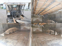 ISUZU Giga Container Carrier Truck PJ-CYZ51Q6 2007 527,000km_13