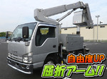 Elf Cherry Picker