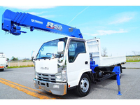 ISUZU Elf Truck (With 5 Steps Of Cranes) BDG-NKR85R 2007 257,870km_3