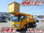 Elf Cherry Picker