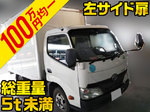 Dyna Panel Van