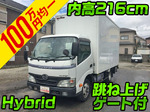 Dutro Panel Van