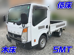 Canter Guts Flat Body