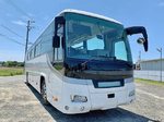 Selega Bus