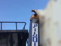 UD TRUCKS Condor Arm Roll Truck QKG-PK39LH 2015 130,288km_7