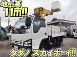 Elf Cherry Picker
