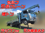 Forward Self Loader (With 5 Steps Of Cranes)