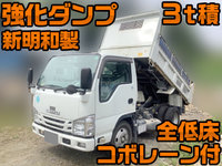 ISUZU Elf Dump TPG-NKR85AD 2016 64,263km_1