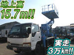 Elf Cherry Picker