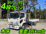 Forward Truck (With 4 Steps Of Cranes)