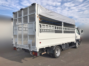 Canter Cattle Transport Truck_2