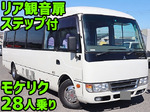 Rosa Micro Bus