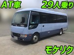 Rosa Micro Bus