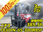 Others Forklift