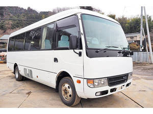 Rosa Micro Bus_1