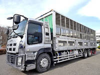 ISUZU Giga Cattle Transport Truck QKG-CYL77A 2013 443,000km_3