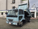 Condor Dump