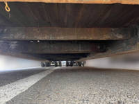 Others Others Heavy Equipment Transportation Trailer TL25S7  _26