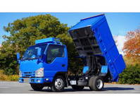 ISUZU Elf Deep Dump TPG-NJR85AD 2019 27,637km_3