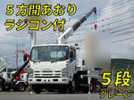 Elf Truck (With 5 Steps Of Cranes)
