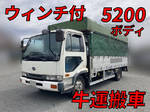 Condor Cattle Transport Truck