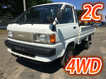 Townace Flat Body