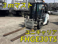 Others Others Forklift FHGE30T5 2018 3,864h_1