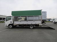 ISUZU Elf Cattle Transport Truck BKG-NPR85AN 2008 48,000km_12