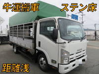 ISUZU Elf Cattle Transport Truck BKG-NPR85AN 2008 48,000km_1