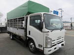 Elf Cattle Transport Truck