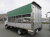 ISUZU Elf Cattle Transport Truck BKG-NPR85AN 2008 48,000km_2