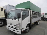 ISUZU Elf Cattle Transport Truck BKG-NPR85AN 2008 48,000km_3
